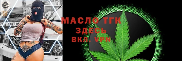 крисы Верхний Тагил
