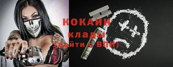 мдпв Бронницы