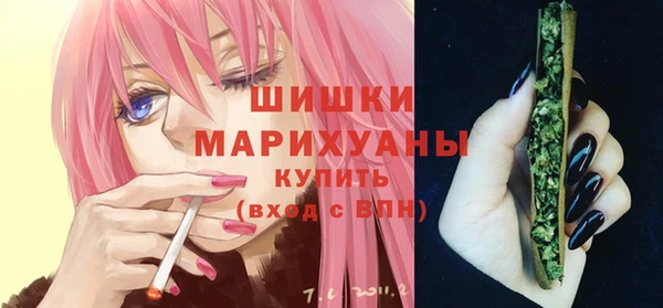 мдпв Бронницы
