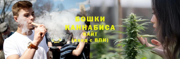 мдпв Бронницы